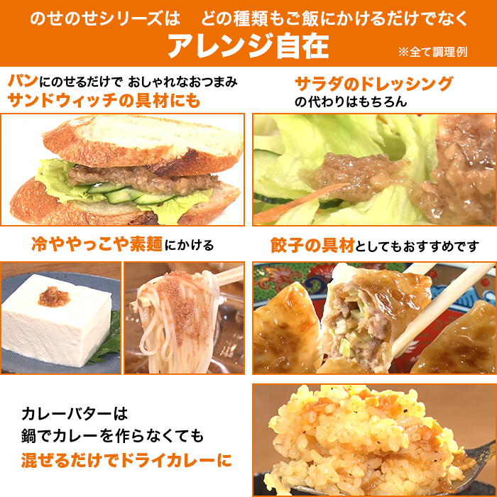 のせのせシリーズ バラエティセット