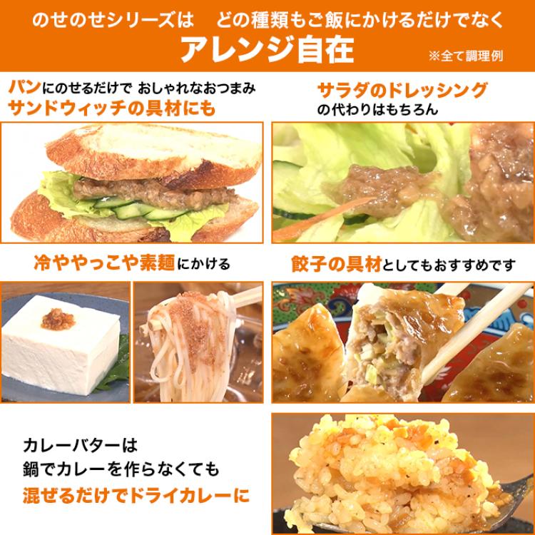 のせのせシリーズ バラエティセット