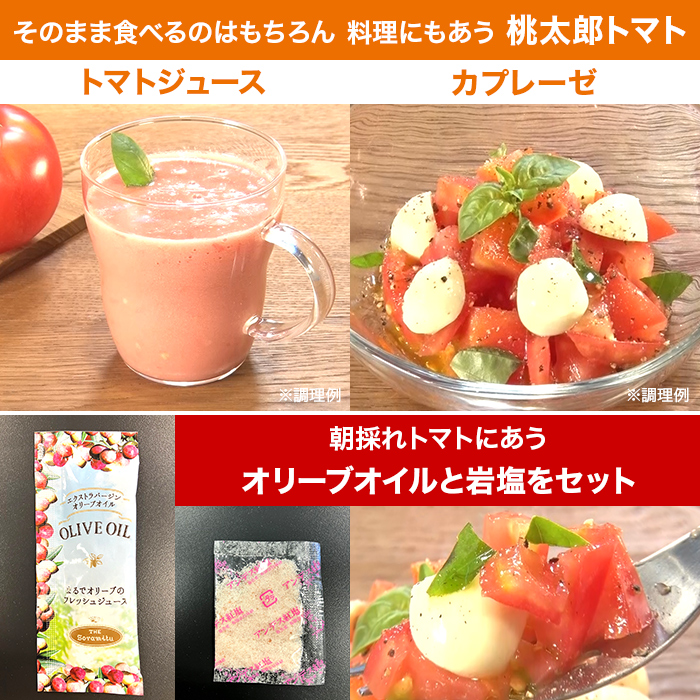 ヨダファーム 朝採れトマト特別セット