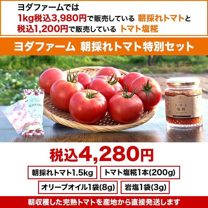 ヨダファーム 朝採れトマト特別セット