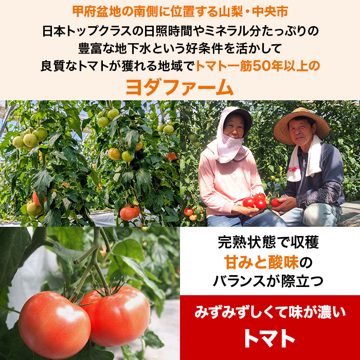 豊かさ溢れるトマトジュース(180ml)30本セット