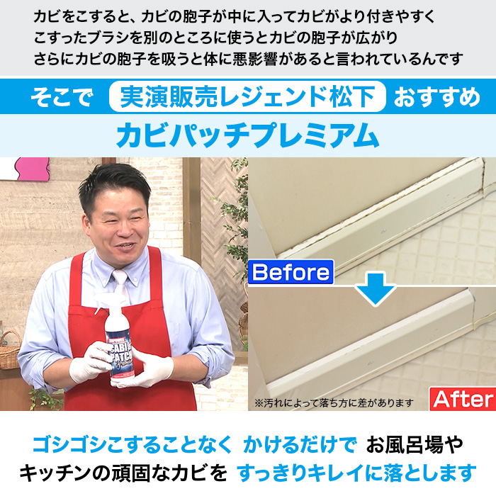 強力カビ取り剤 カビパッチプレミアム