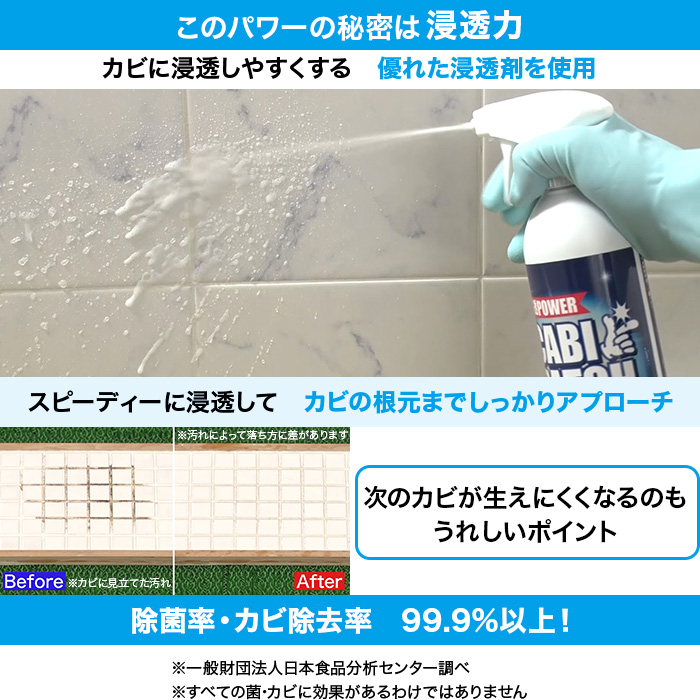 強力カビ取り剤 カビパッチプレミアム