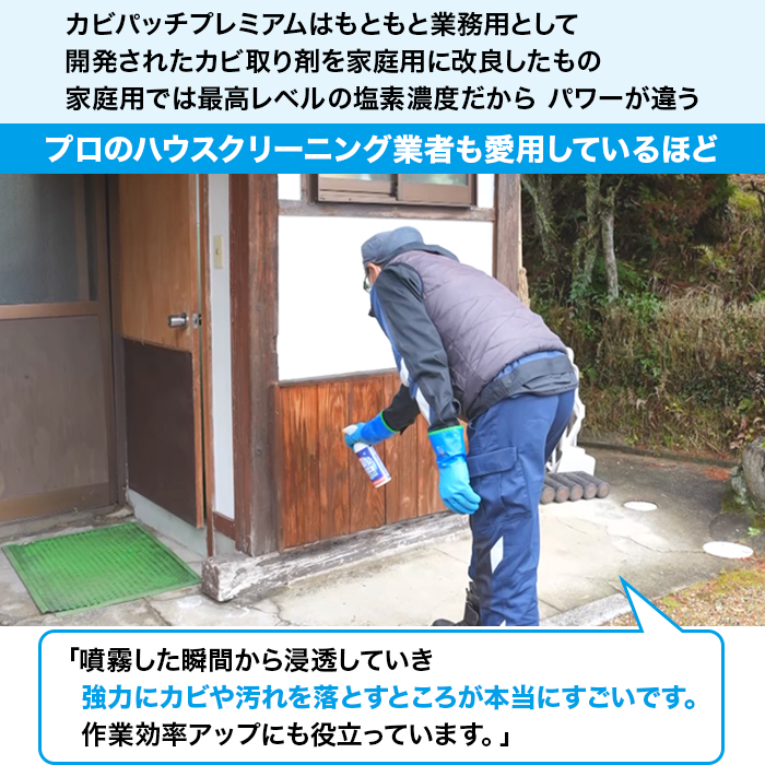 強力カビ取り剤 カビパッチプレミアム