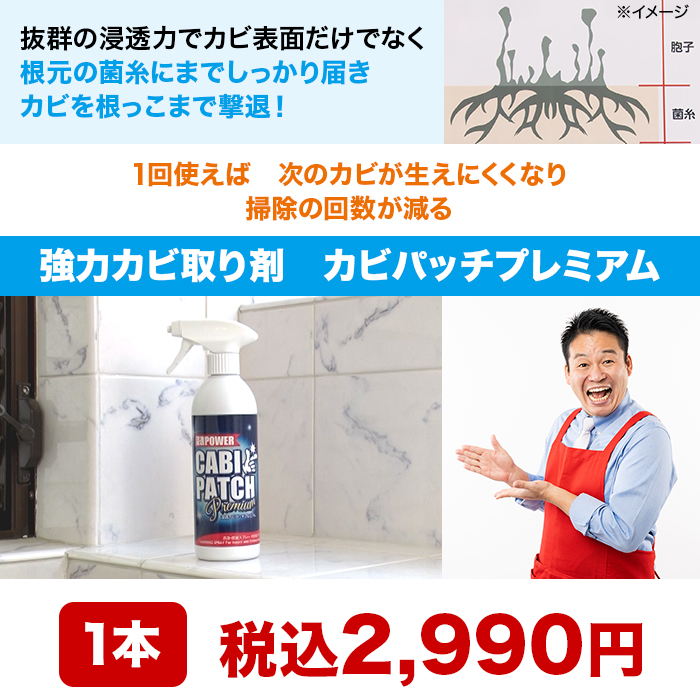 強力カビ取り剤 カビパッチプレミアム