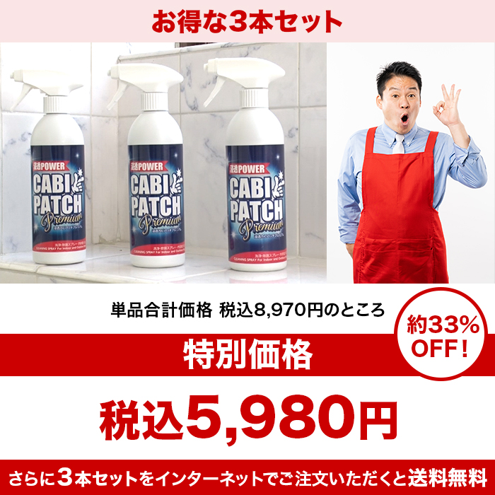 強力カビ取り剤 カビパッチプレミアム