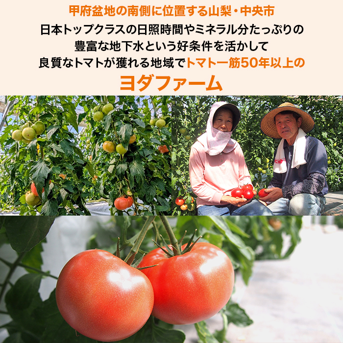 ヨダファーム トマト塩糀 3本セット
