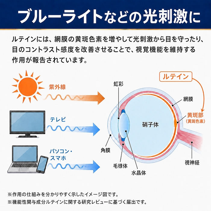 くっきりルテイン