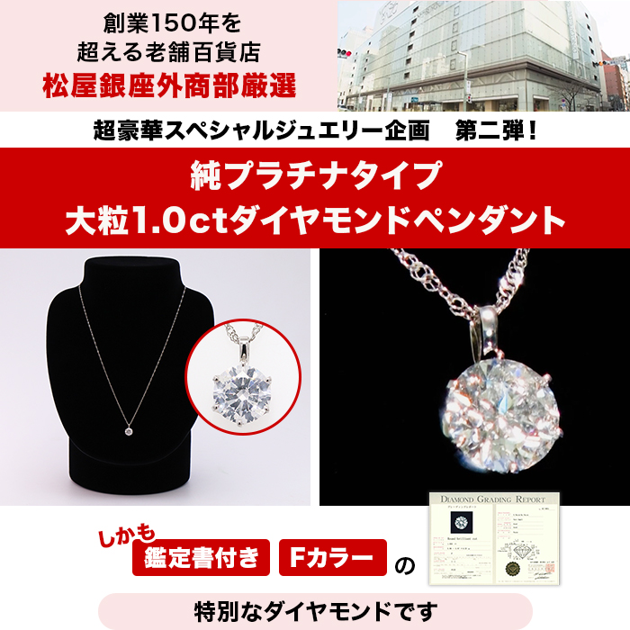 松屋銀座外商部 ジュエリースペシャルセット第二弾 純プラチナタイプ
