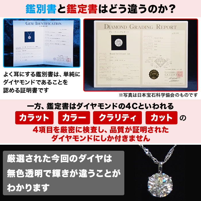 松屋銀座外商部 ジュエリースペシャルセット第二弾 純プラチナタイプ