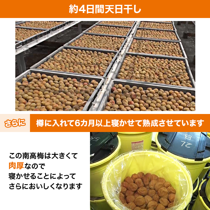 紀州南高梅はねだし梅干 はちみつ漬け 1.6kg特別セット