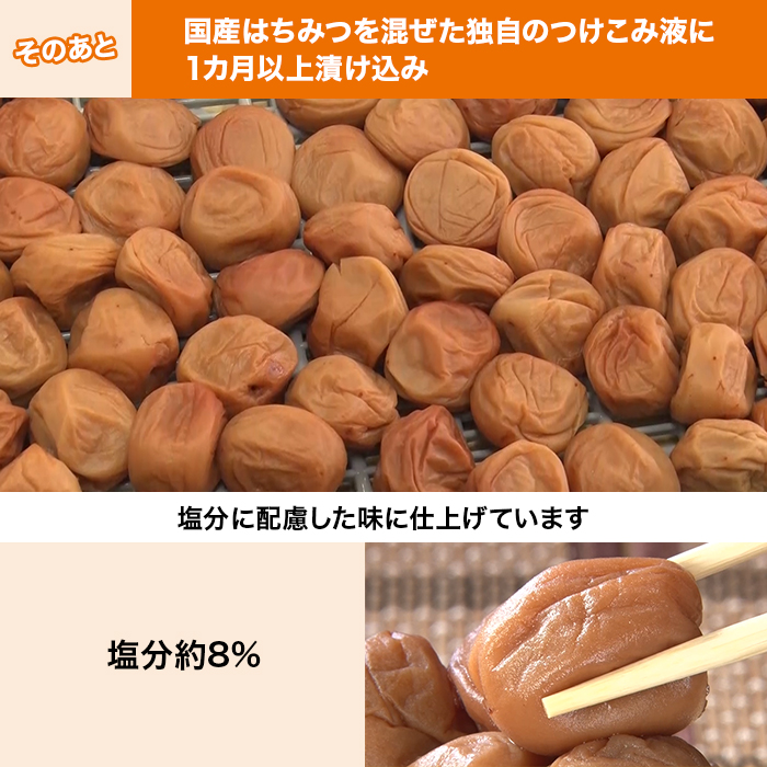 紀州南高梅はねだし梅干 はちみつ漬け 1.6kg特別セット