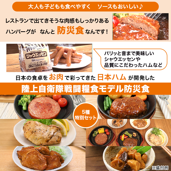 日本ハム 陸上自衛隊戦闘糧食モデル防災食 10食特別セット
