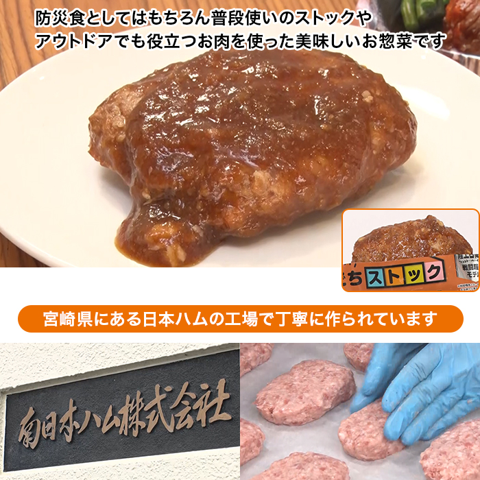 日本ハム 陸上自衛隊戦闘糧食モデル防災食 10食特別セット