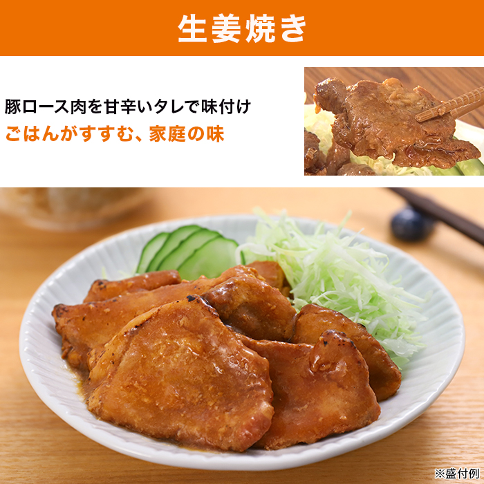 日本ハム 陸上自衛隊戦闘糧食モデル防災食 10食特別セット