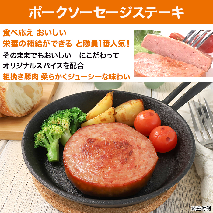 日本ハム 陸上自衛隊戦闘糧食モデル防災食 5食特別セット