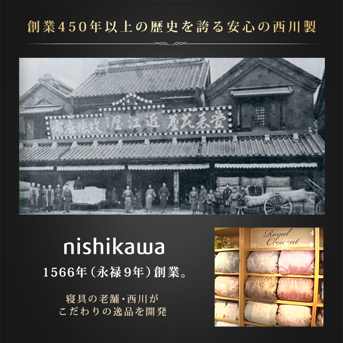 西川(nishikawa) ナチュラルフィット枕スマート特別セット