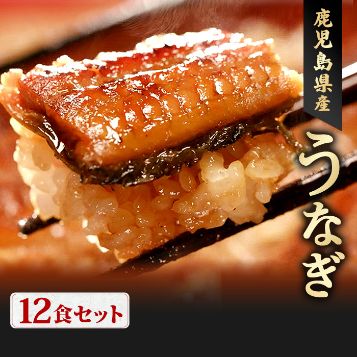 鹿児島県産うなぎ12食セット