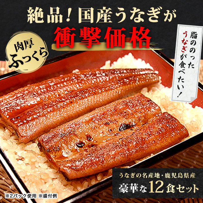 鹿児島県産うなぎ12食セット