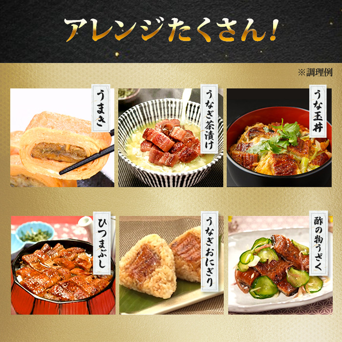 鹿児島県産うなぎ12食セット