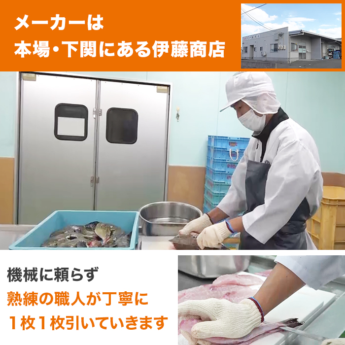 下関より直送! 国産とらふぐ刺身・ふぐちりセット 4人前