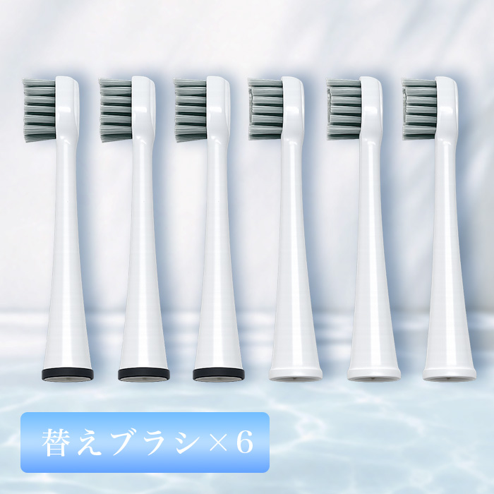 LEオーラル専用 替えブラシ(6本組)