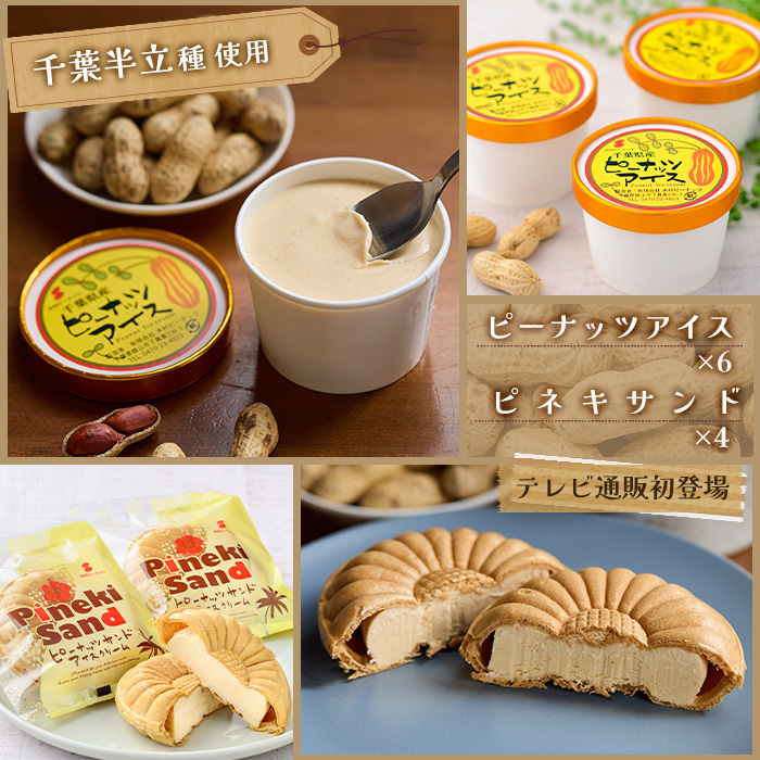 千葉・館山 木村ピーナッツアイス 特別セット