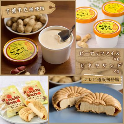 千葉・館山 木村ピーナッツアイス 特別セット