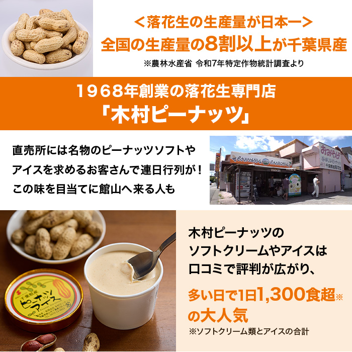 千葉・館山 木村ピーナッツアイス 特別セット