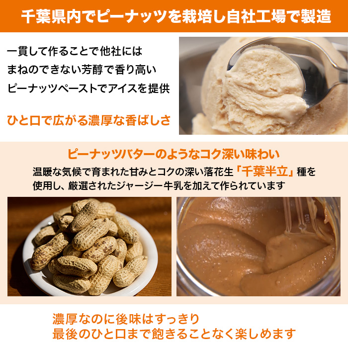 千葉・館山 木村ピーナッツアイス 特別セット