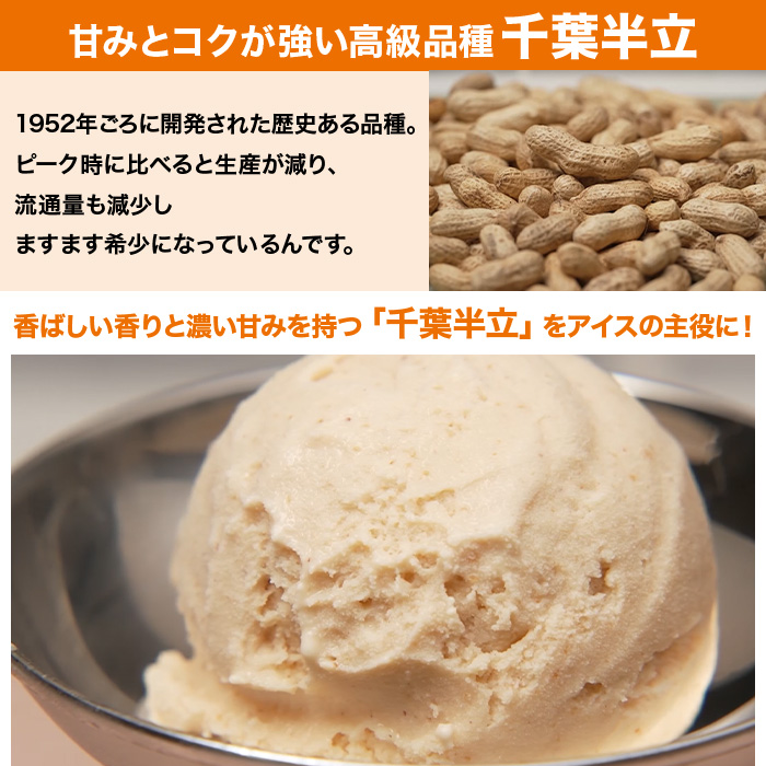 千葉・館山 木村ピーナッツアイス 特別セット