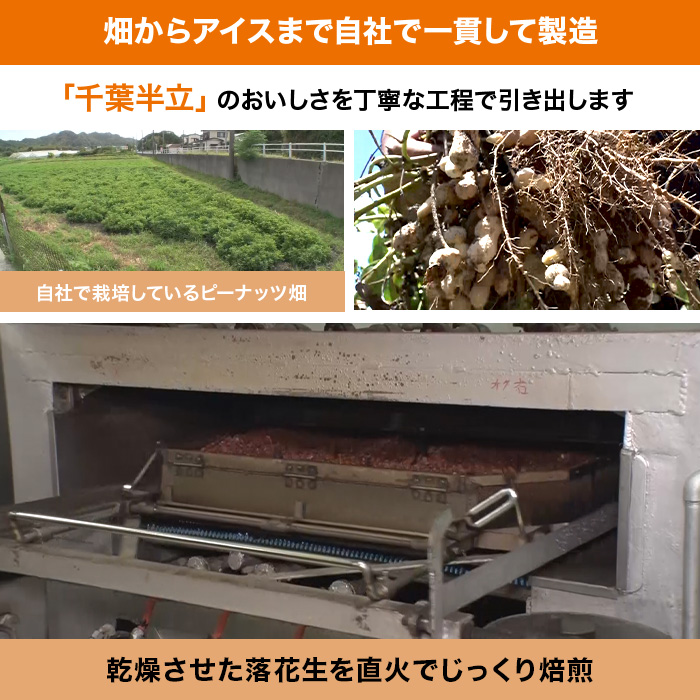千葉・館山 木村ピーナッツアイス 特別セット