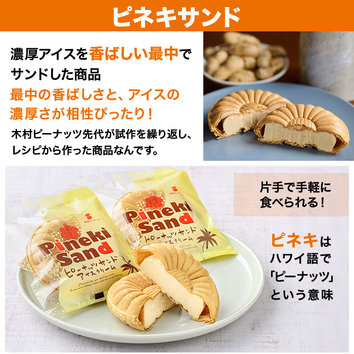 千葉・館山 木村ピーナッツアイス 特別セット