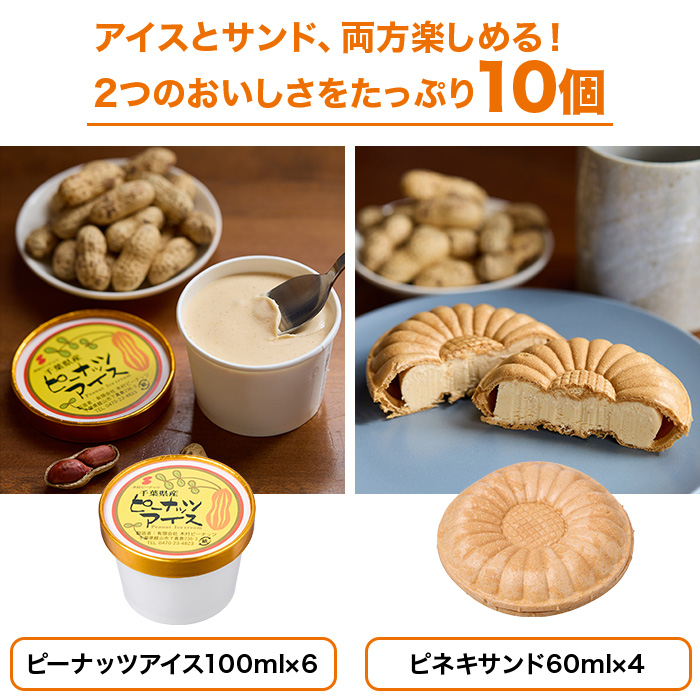 千葉・館山 木村ピーナッツアイス 特別セット