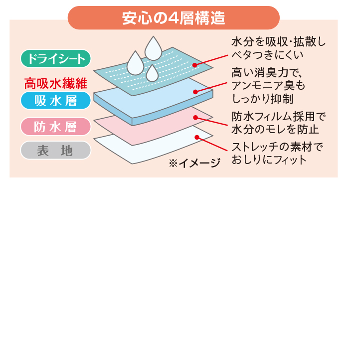 フロントレース吸水ショーツ3色組(同サイズ)