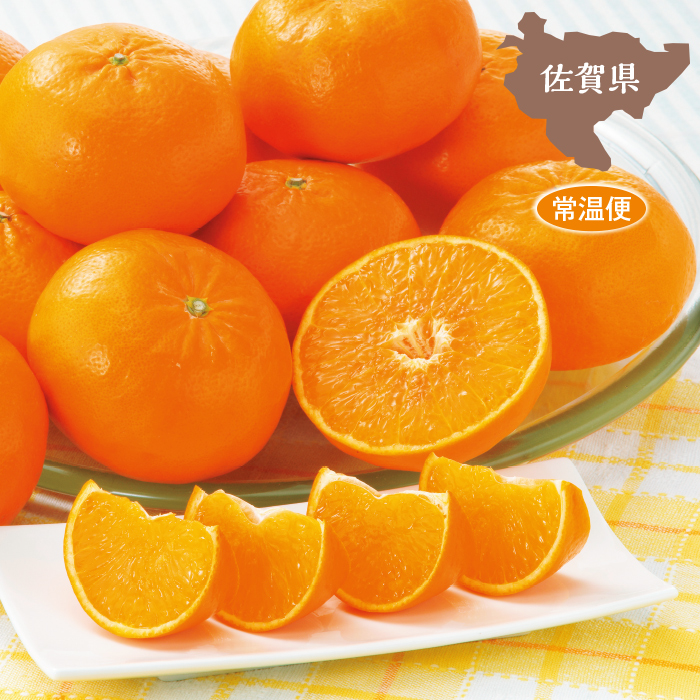 佐賀県産 はまさき1.5kg