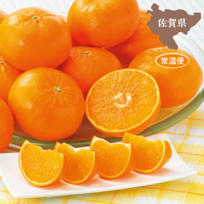 佐賀県産 はまさき1.5kg