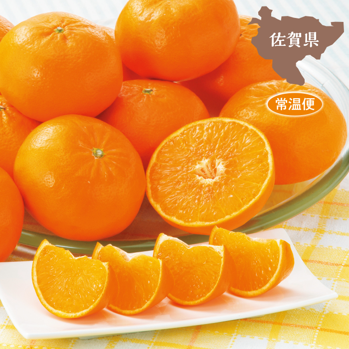 佐賀県産 はまさき1.5kg