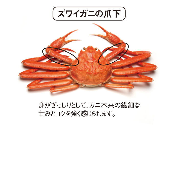 ボイルズワイガニ 爪下ポーション 1kg