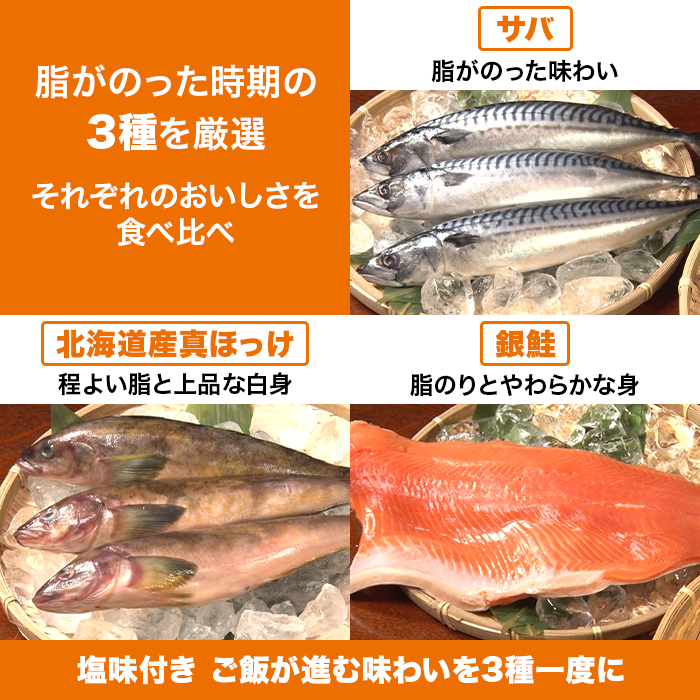 お魚スティック3種 合計1.8kg特別セット