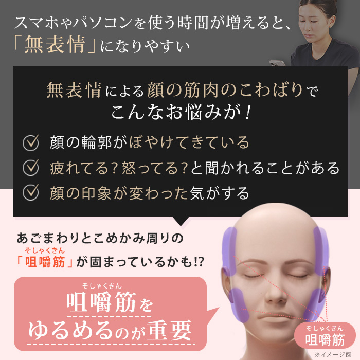 NIPLUX ビガン