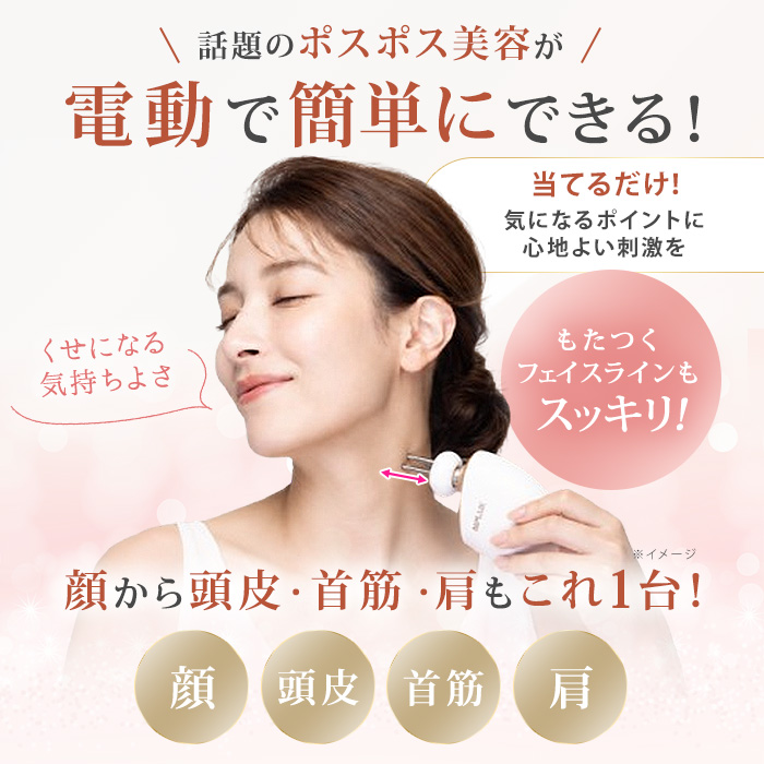 NIPLUX ビガン