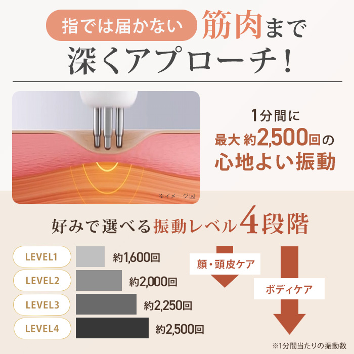 NIPLUX ビガン