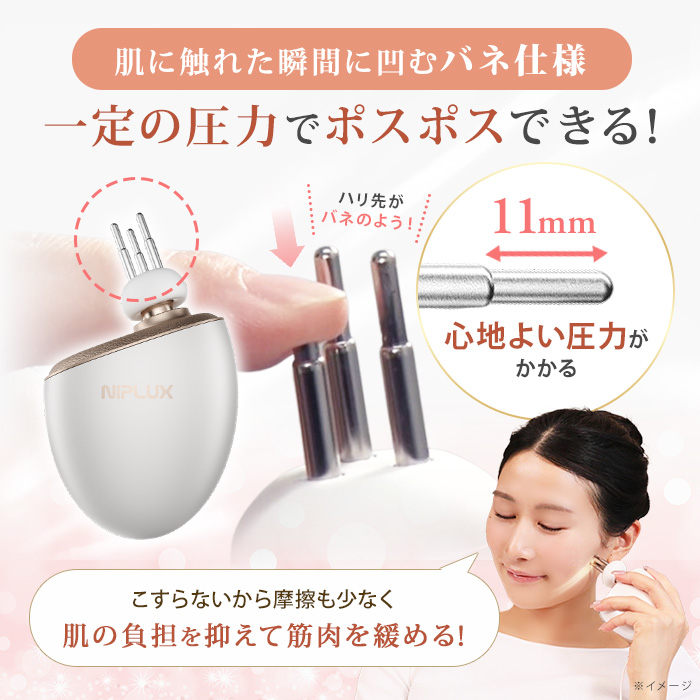 NIPLUX ビガン