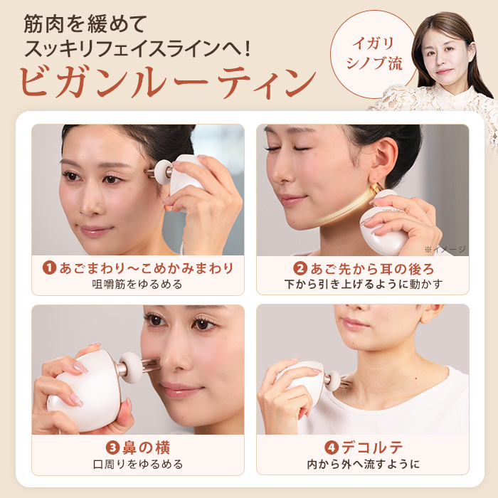 NIPLUX ビガン