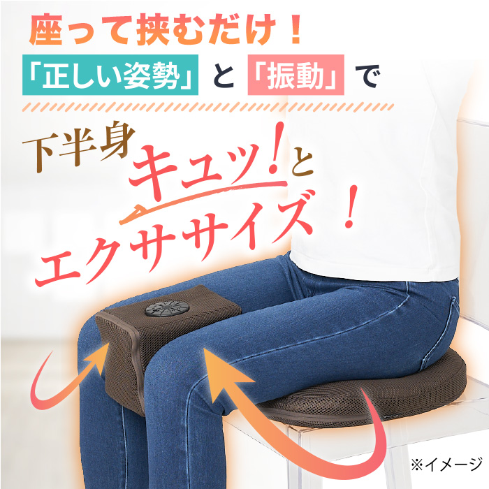 保阪流ウェルネス 内転筋トレーニング キュット座シェイク