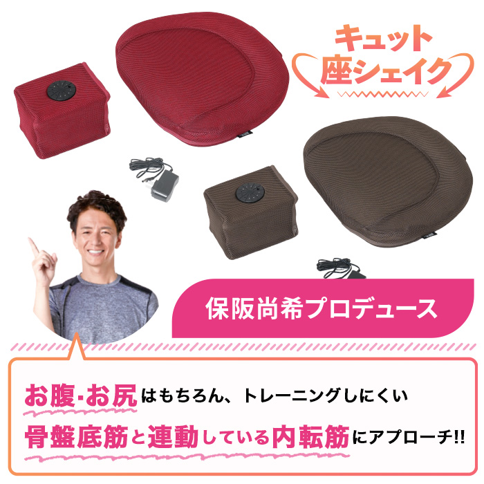 保阪流ウェルネス 内転筋トレーニング キュット座シェイク