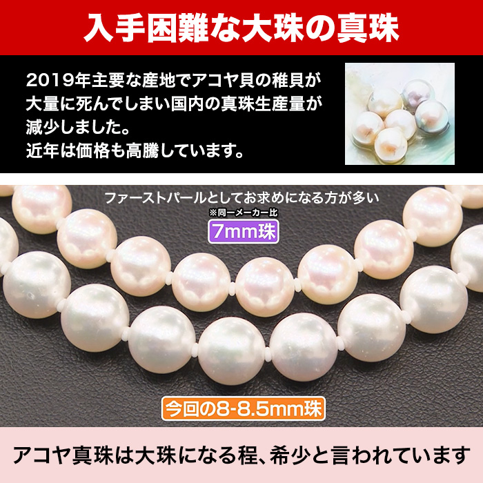 髙島屋 大珠8-8.5mm珠アコヤ真珠3点セット
