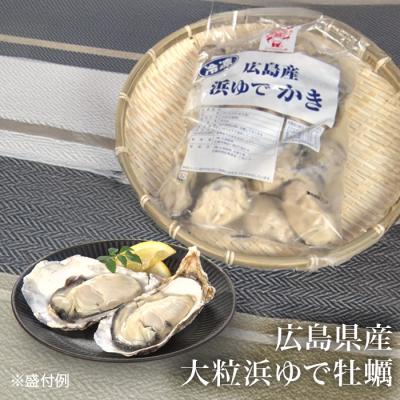 広島県産 大粒浜ゆで牡蠣