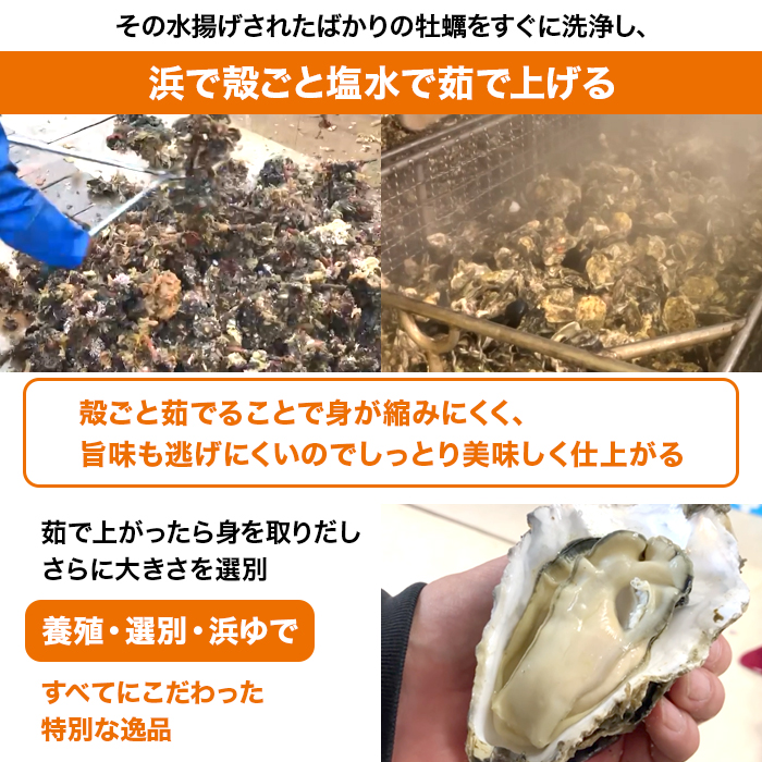 広島県産 大粒浜ゆで牡蠣2袋セット